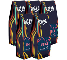 Perléo - Antica - Kaffeebohnen für Geschäftskunden 5 kg