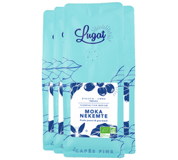 Cafés Lugat - Specialty Coffee Ethiopie Moka Nekemte - Bio-Kaffeebohnen 4x250 g
