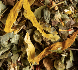 Früchtetee exotische Früchte lose 100 g - Dammann Frères