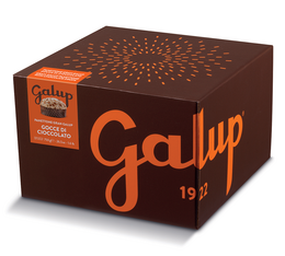 Panettone mit Schokoladenstückchen – 750 g – GALUP