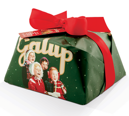 panettone galup chocolat pistache