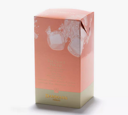 Eistee Pfirsich - 6 Beutel- Dammann Frères