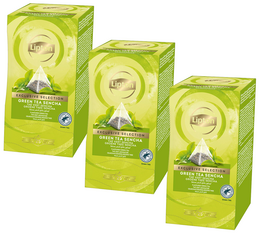 Sencha-Grüntee – 3 x 25 Teebeutel – Lipton