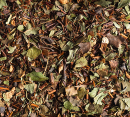 Loser Tee - Lucky Thyme - 100g - Dammann Frères