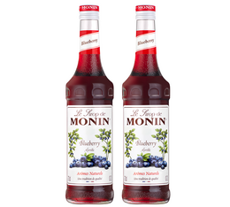 lot de deux sirops myrtille de monin