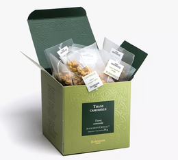 Kamillentee Herboristerie d'Orgeval -20 Teebeutel - Dammann Frères