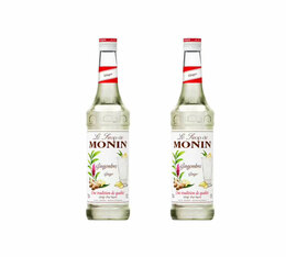 Monin Sirup Ingwer 0,7 L x 2