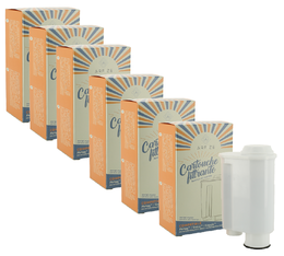 Arfize - Filterkartusche kompatibel mit Brita Intenza+ PHILIPS/ SAECO/ GAGGIA x 6
