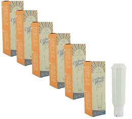 Filterkartusche für KRUPS - ARFIZE x 6