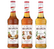 Monin 3er Set - Pumpkin Spice, Lebkuchen-Sirup, Cinnamon Roll Sirup + Dosierpumpe